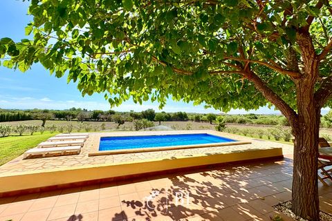 Finca in Porto Cristo, Mallorca - photo 4